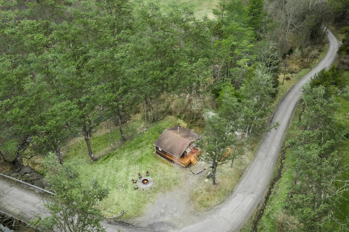 Creekside Cabin W Hot Tub, Fire Pit, Grill, Wifi! Basye Luaran gambar